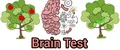 Brain Test