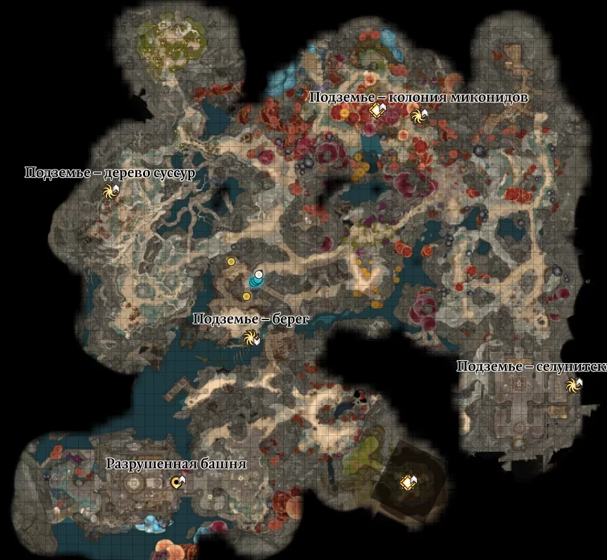 Baldur's Gate 3. Карта: Подземье