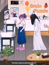 Brain Puzzle. 120