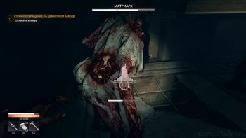 ����: ��������