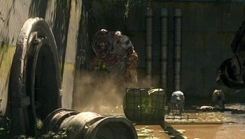 ����: ������