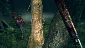 17. ����: �����