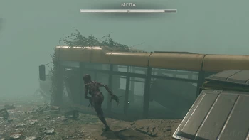 5. ����: ����