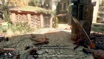 ׸���� ����