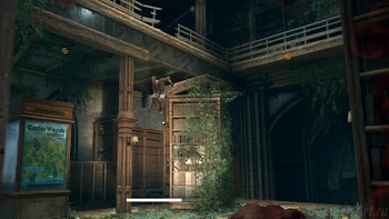 �� ����� ����� 5