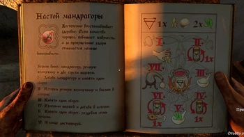 ������ ���