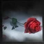 Lies of P. Достижение: The Rose's Memory Ach