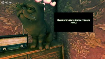 5 ���� ������ �����