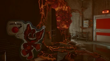 ������ ���������