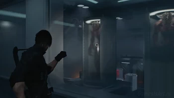 ����: ������